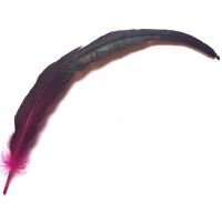 Dark Pink Bronze Rooster Coque Tail Feather