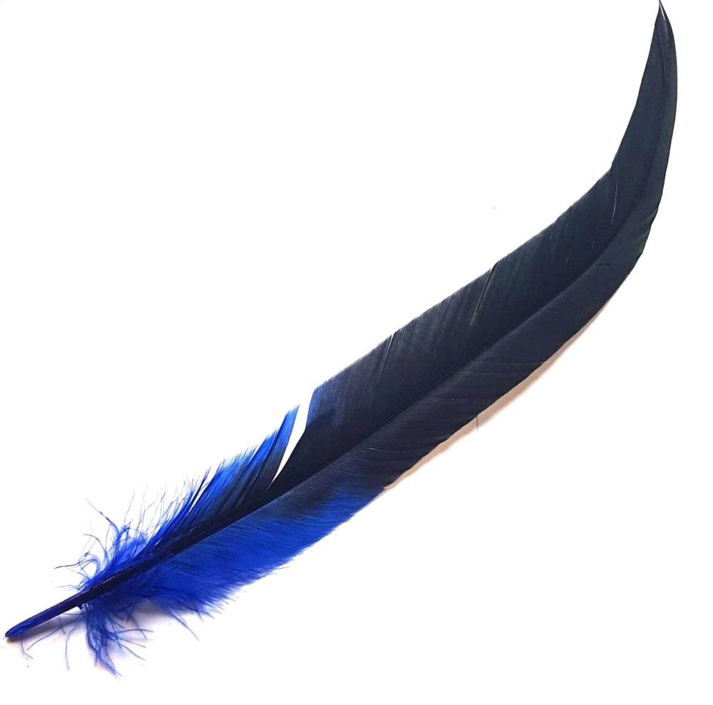 Royal Blue Bronze Rooster Coque Tail Feather
