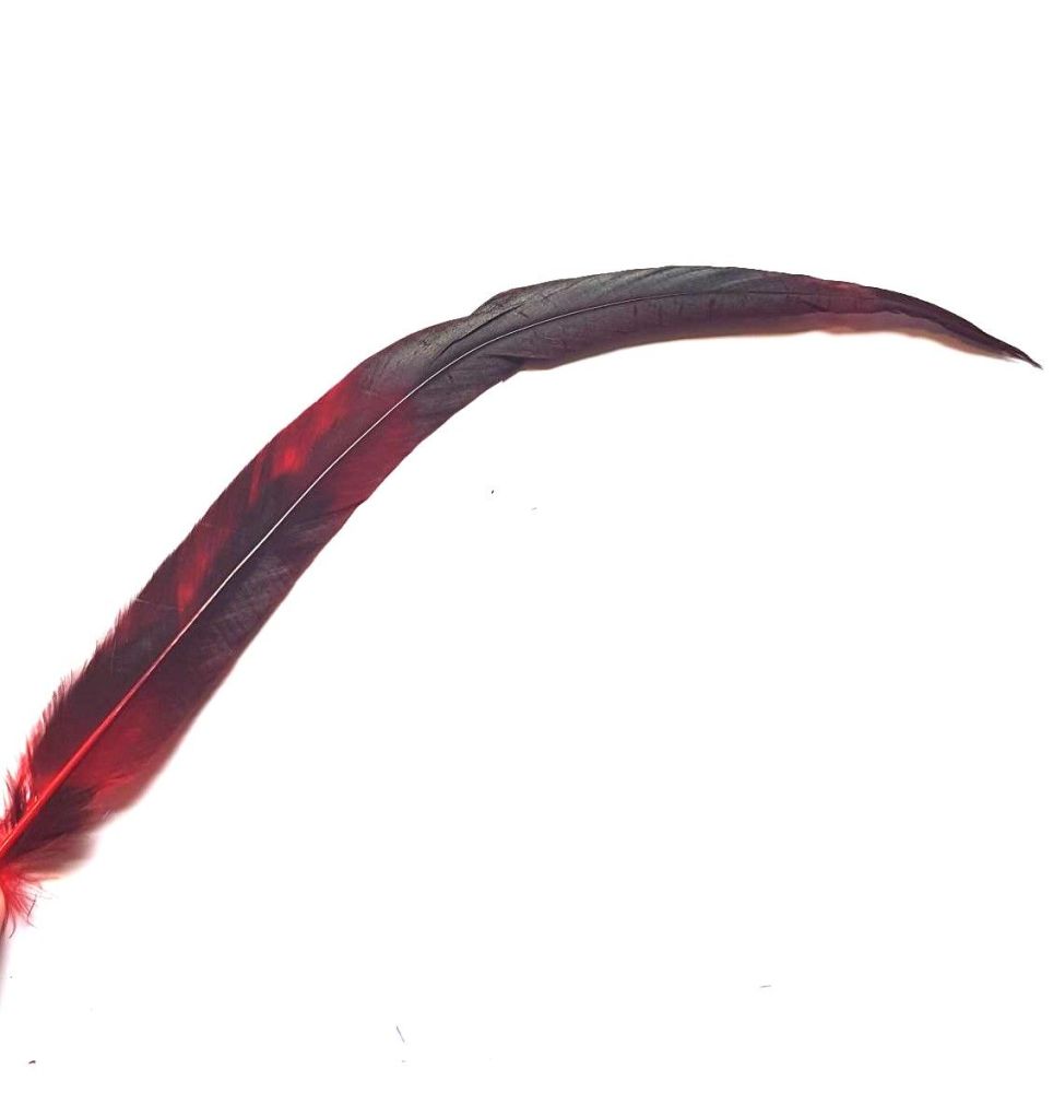 Red Bronze Rooster Coque Tail Feather