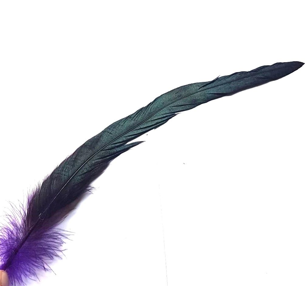 Purple Bronze Rooster Coque Tail Feather