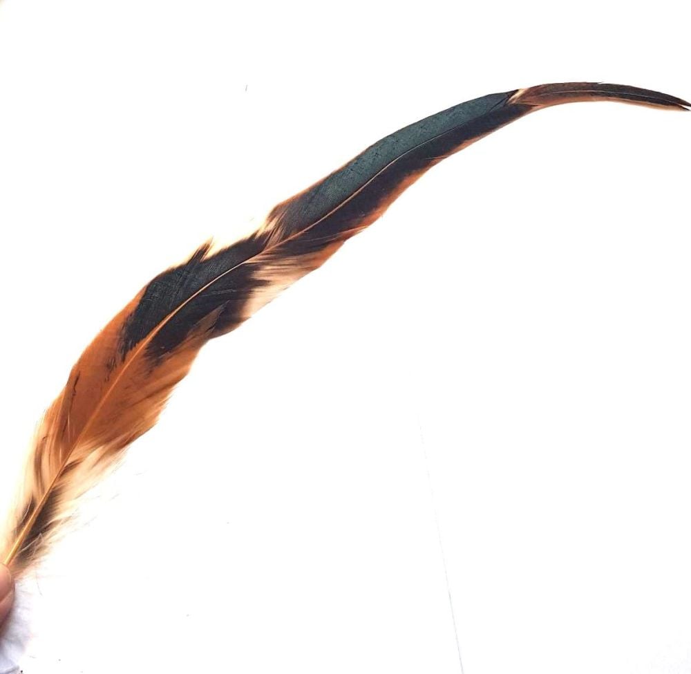 Natural Bronze Rooster Coque Tail Feather