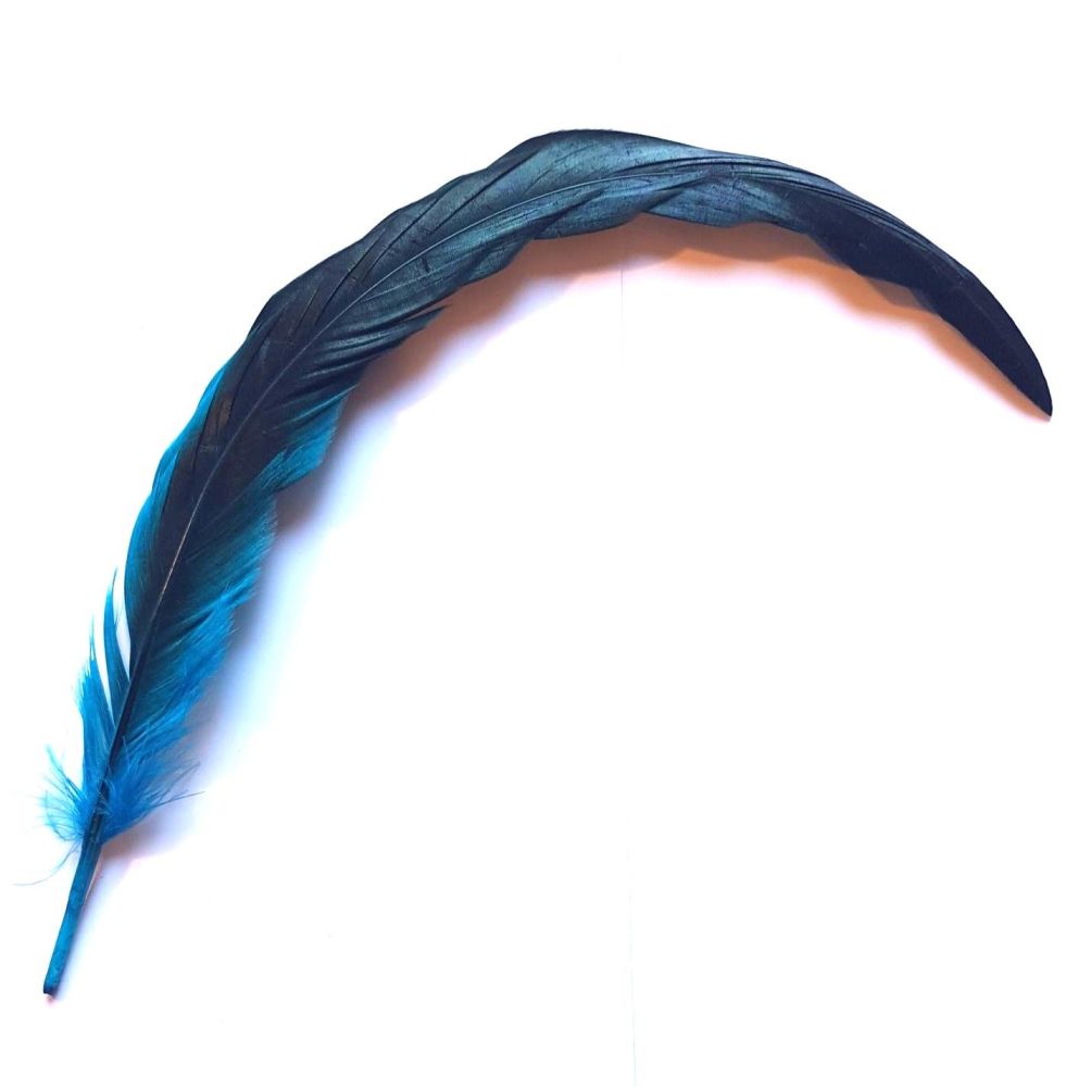 Aqua Blue Bronze Rooster Coque Tail Feather