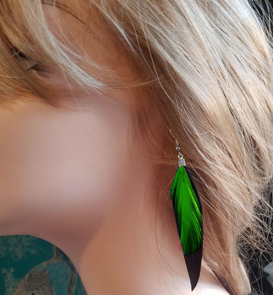 Black Feather Earrings with Green Hackle Feathers