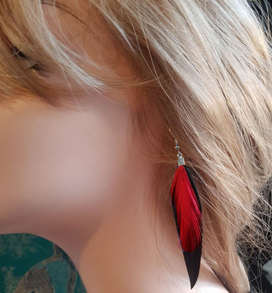 Black Feather Earrings with Red Hackle Feathers