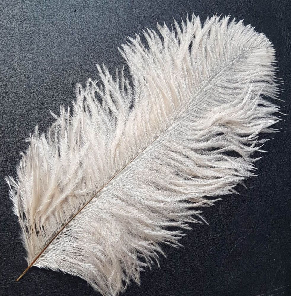 Ivory ostrich feathers