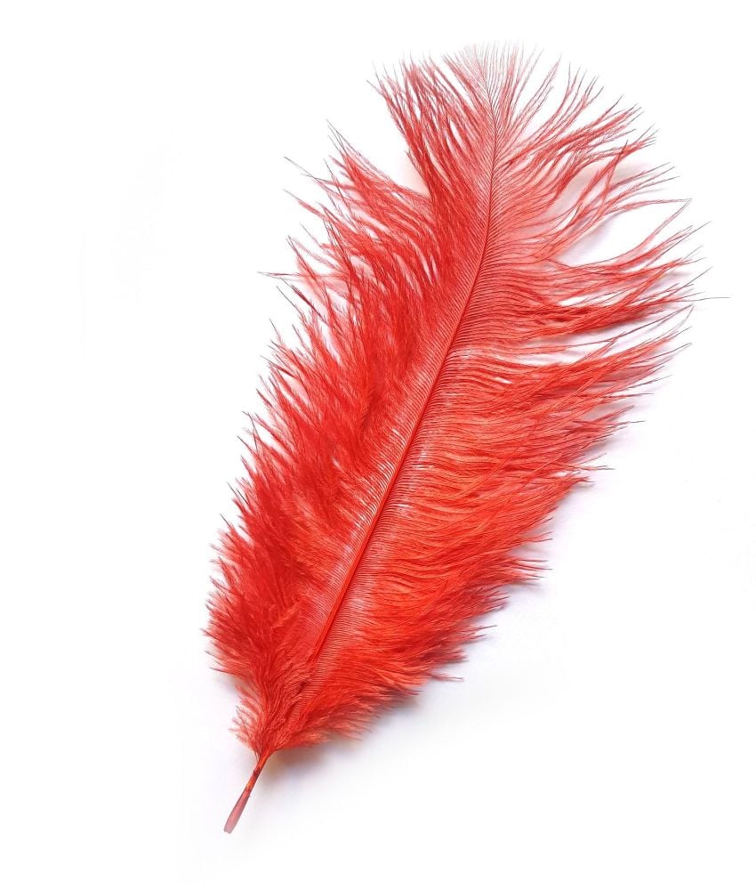 Burnt red ostrich feathers