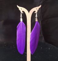 Purple Feather Earrings