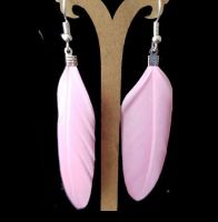 Candy Pink Feather Earrings