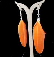 Orange Feather Earrings