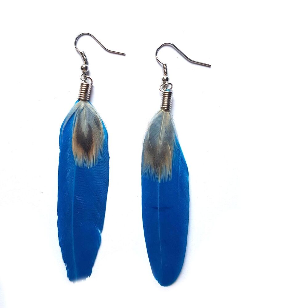 Aqua Blue Feather Earrings - Goose and Decorative Feathers