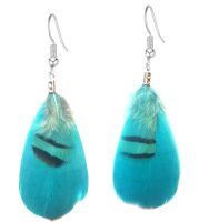 Teal and Black Feather Earrings