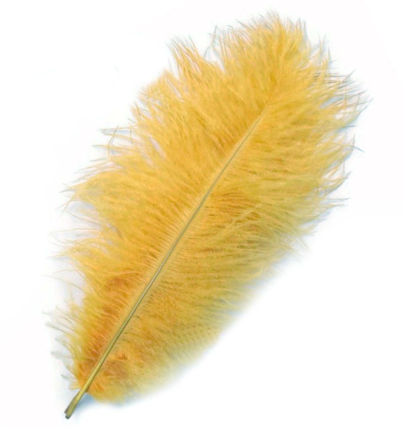 Golden Yellow Ostrich Feather