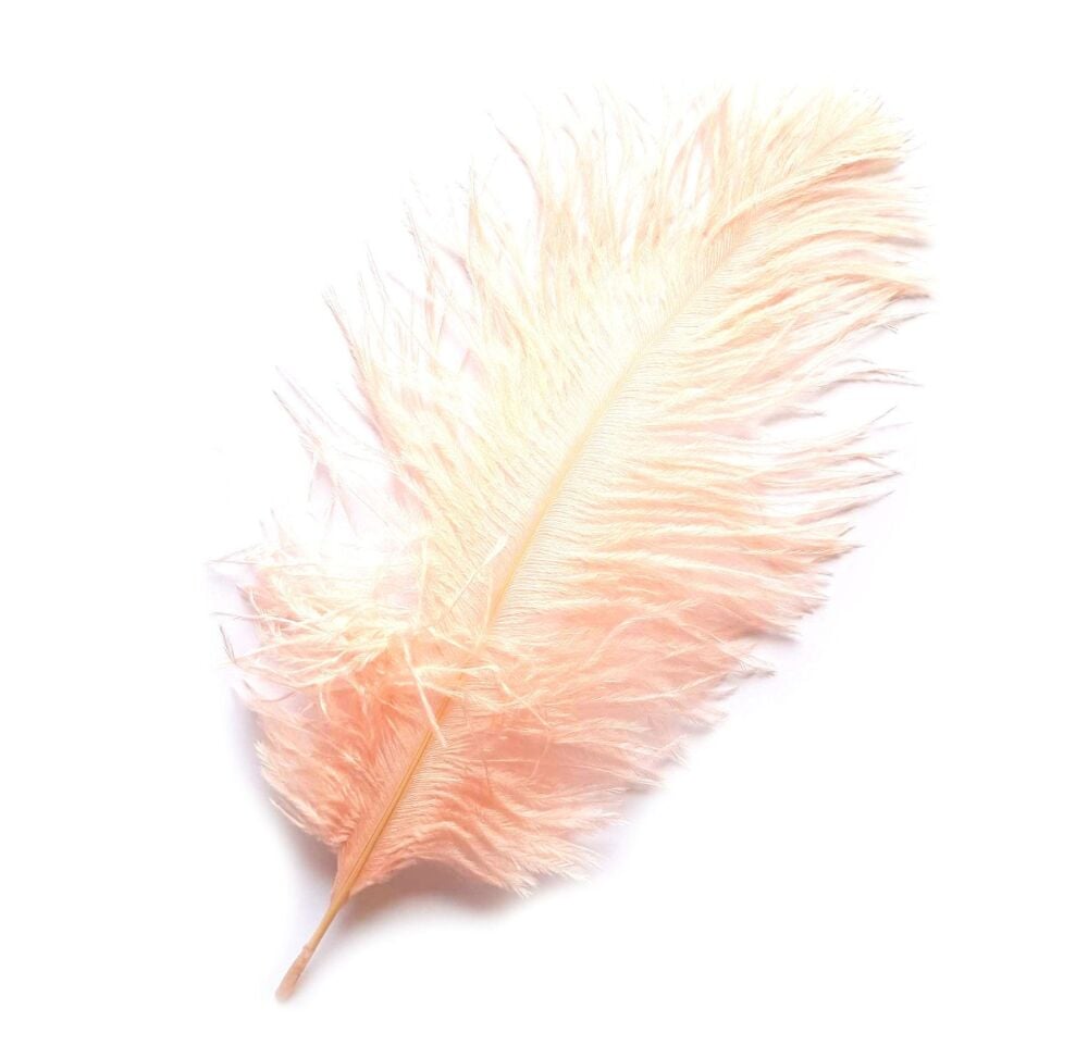 Light Peach Ostrich Feather