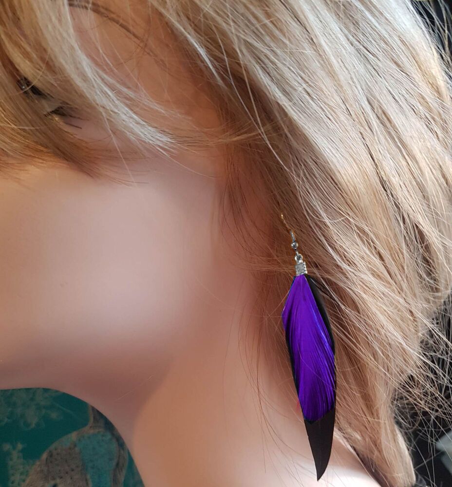Black Feather Earrings with Purple Hackle Feathers