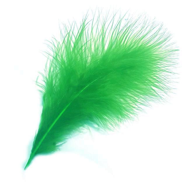 Green Large Marabou Feathers