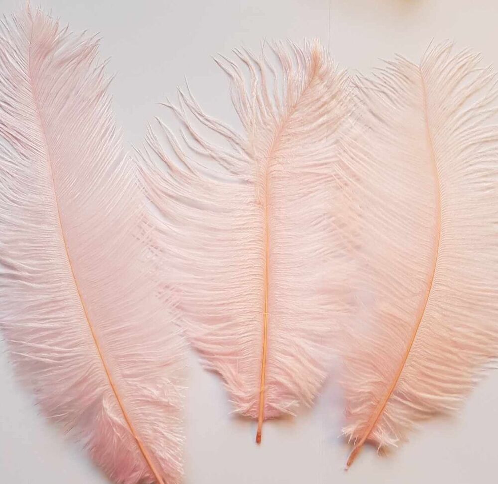 Baby Pink Ostrich Feathers x 5 Seconds