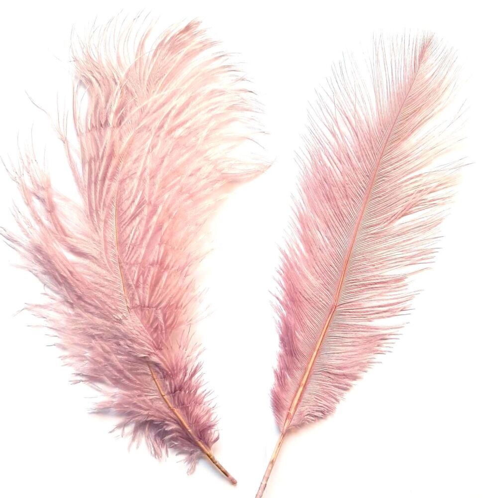 Dusky Rose Pink Ostrich Feathers x 5 Seconds