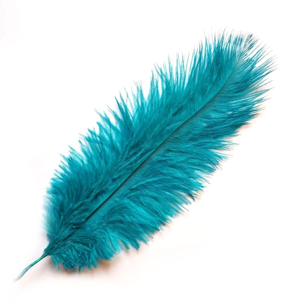 Teal Blue Peacock Ostrich Feather