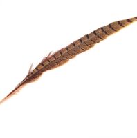 Natural Dyed Ringneck Pheasant Tail Feather (approx 12 inch) Seconds
