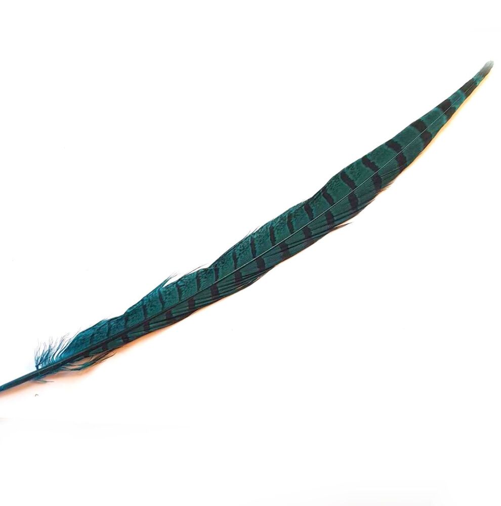 Teal Green Dyed Ringneck Pheasant Tail Feather (approx 12 inch) Seconds
