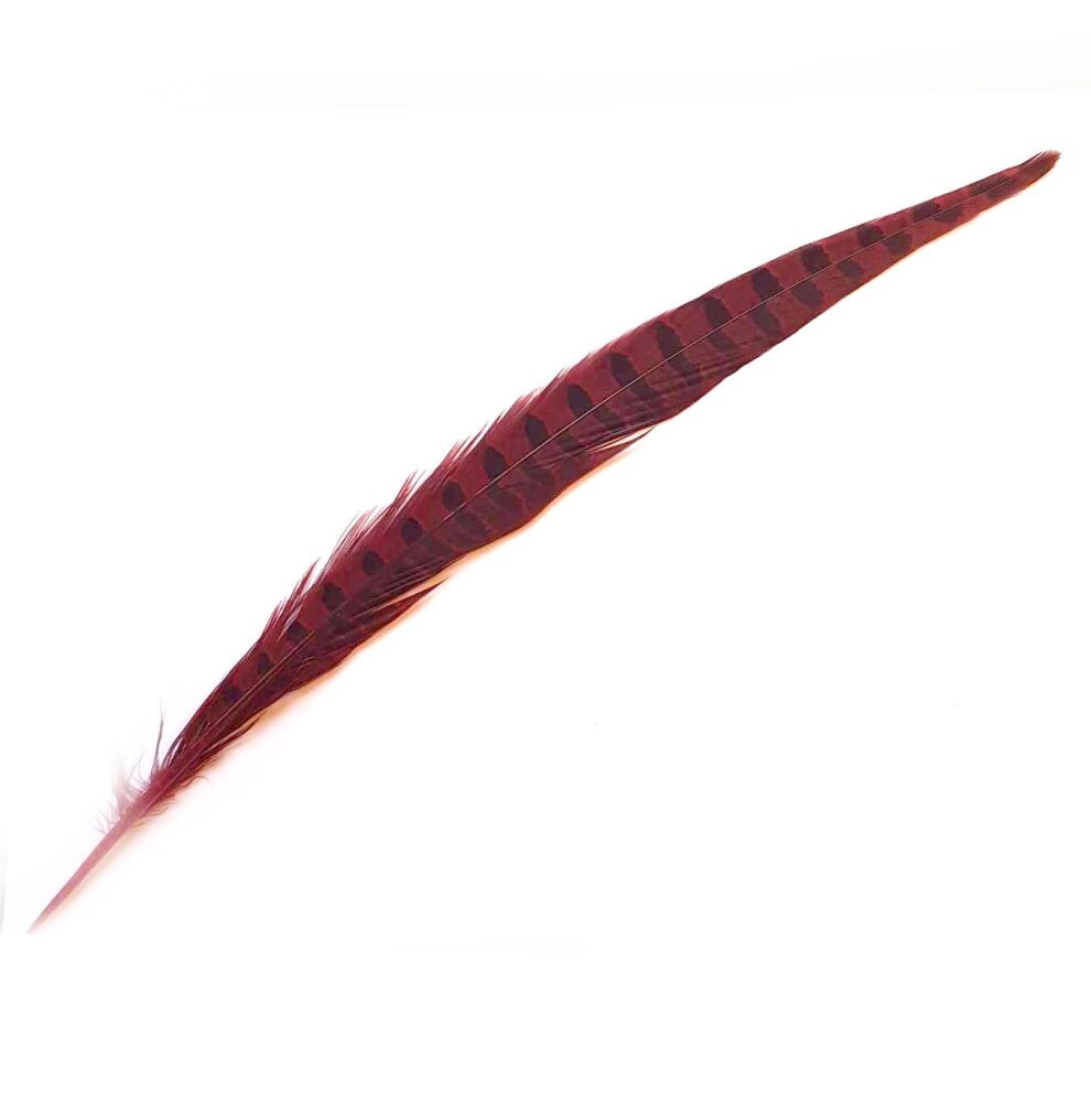Red Dyed Ringneck Pheasant Tail Feather (approx 12 inch) Seconds