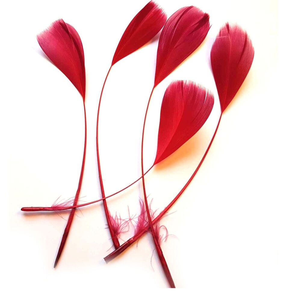 Red Wine Feathers Stripped Coque Style