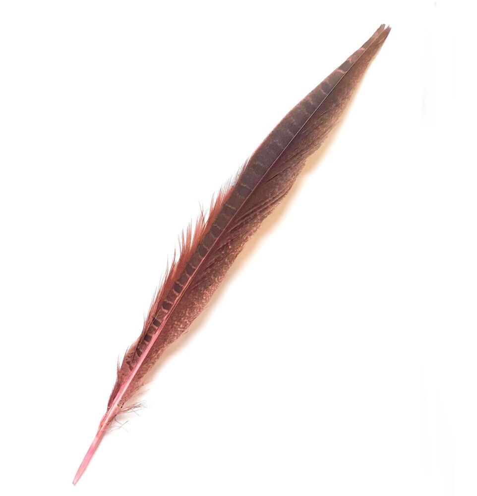 Light Pink Dyed Ringneck Pheasant Tail Feather x 1
