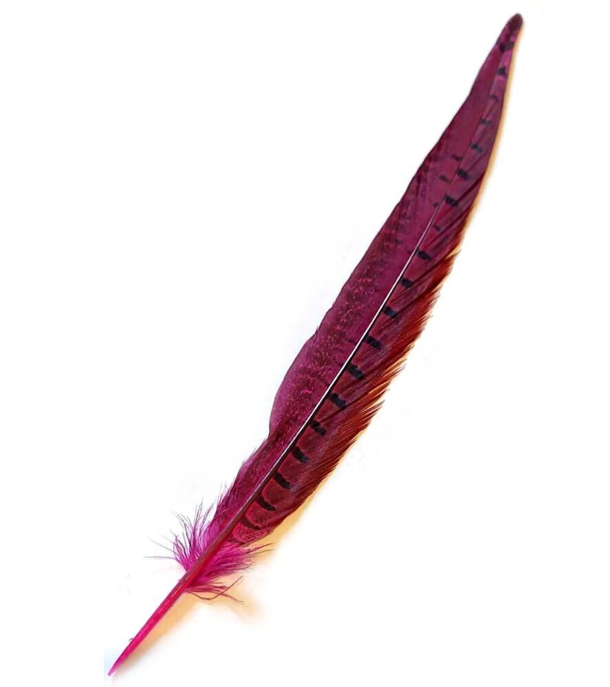 Dark Pink Dyed Ringneck Pheasant Tail Feather x 1