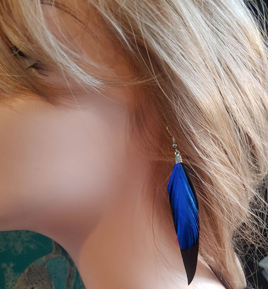 Black Feather Earrings with Royal Blue Hackle Feathers