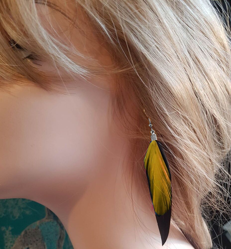 Black Feather Earrings with Golden Yellow Hackle Feathers