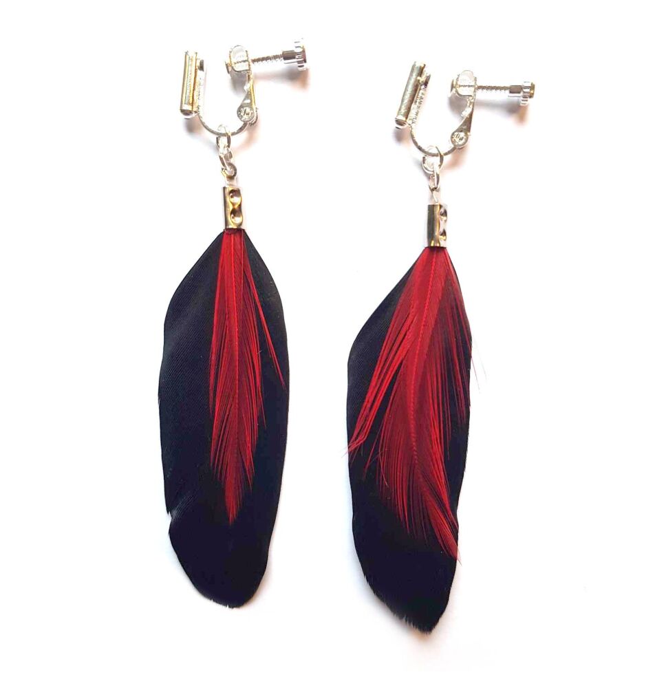 Black Feather Earrings with Red Hackle Feathers (Clip on/Screw On)