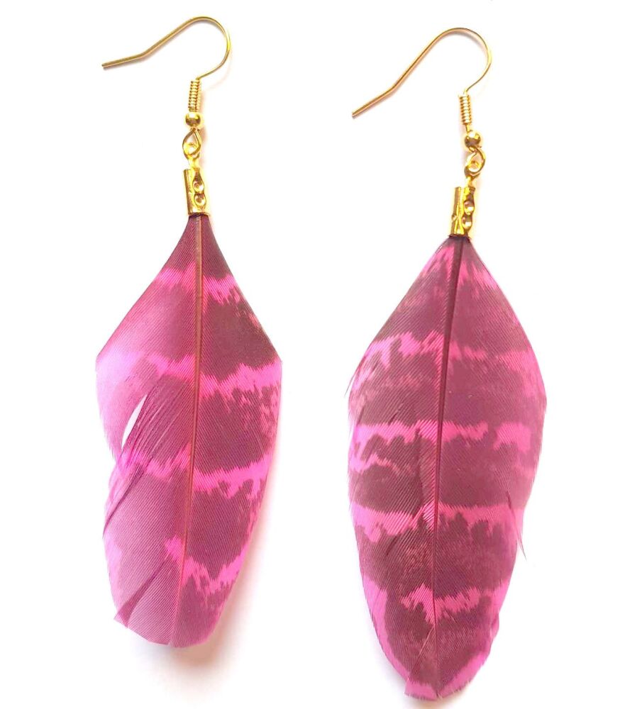 Pink Pheasant Feather Earrings (Ringneck Pattern)