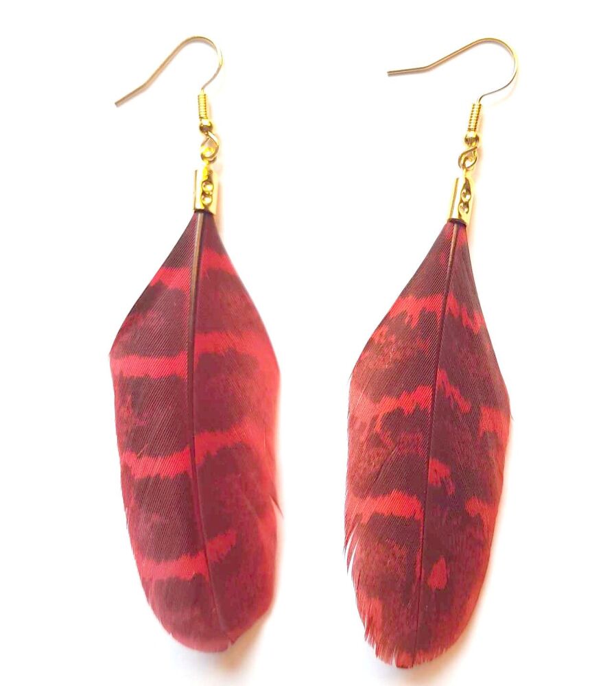 Red Pheasant Feather Earrings (Ringneck Pattern)