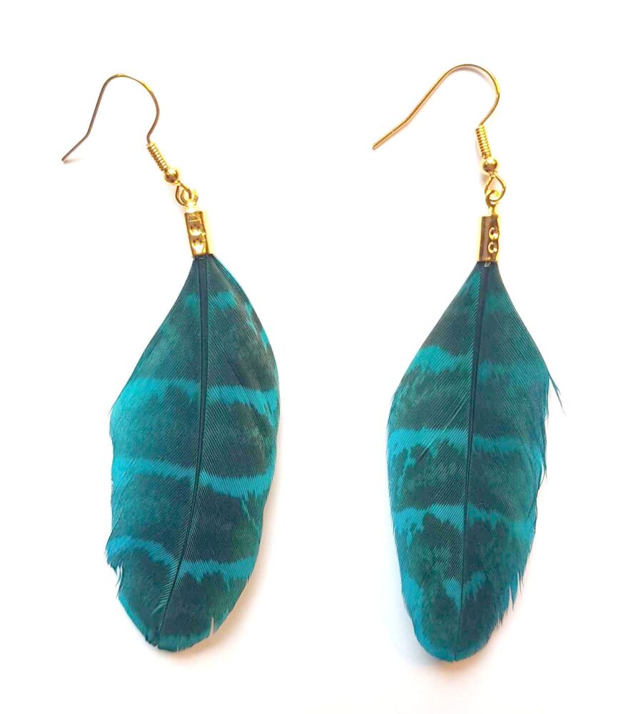 Aqua Blue Pheasant Feather Earrings (Ringneck Pattern)