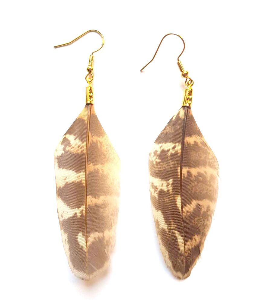 Pheasant Feather Earrings (Ringneck Pattern)