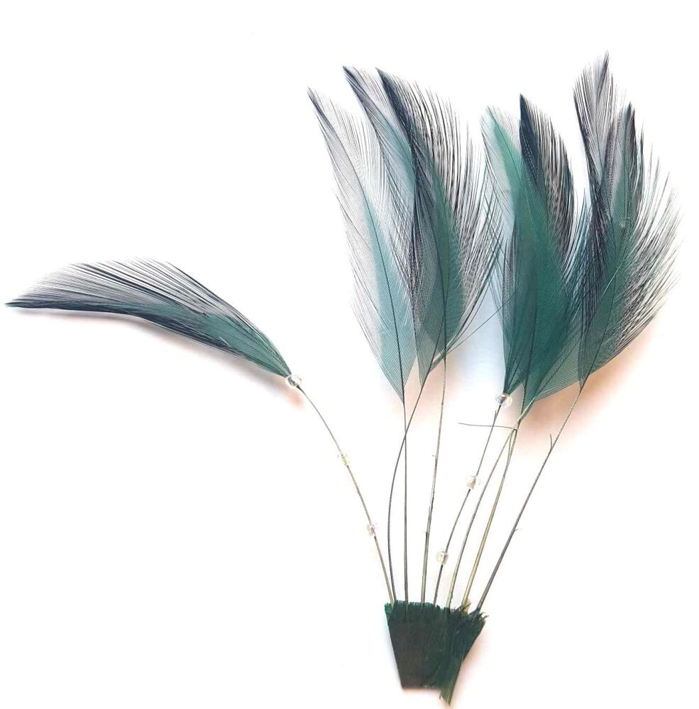 Teal, Dark Green Rooster Feathers Hackles Stripped x 8
