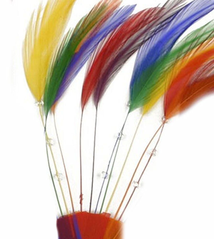 Rainbow Shades, Assorted Rooster Feathers Hackles Stripped x 8