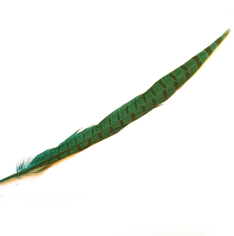Green Dyed Ringneck Pheasant Tail Feather x 1