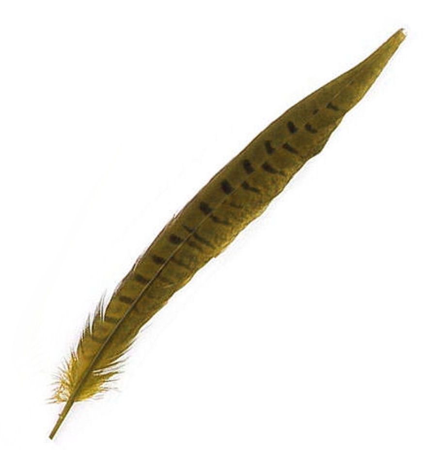 Yellow Dyed Ringneck Pheasant Tail Feather (approx 12 inch) Seconds