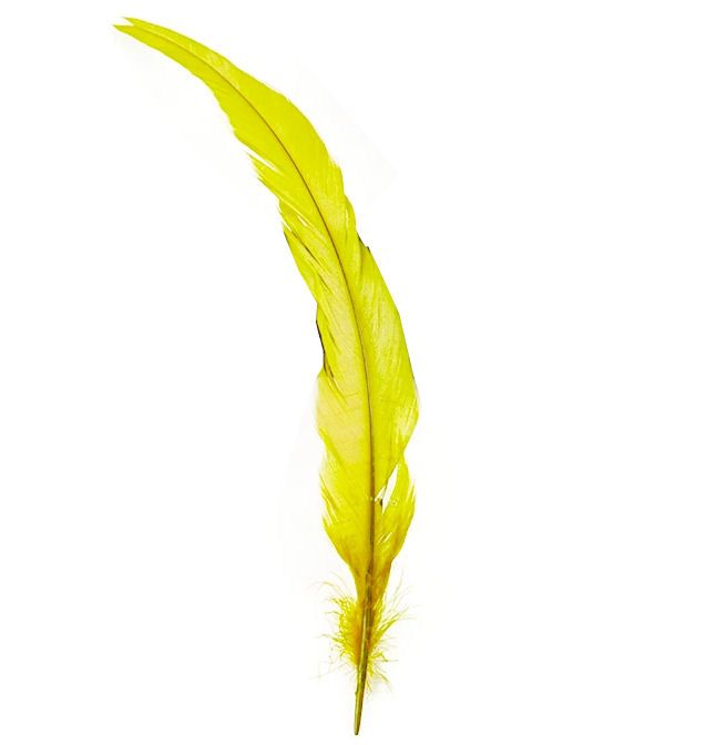 Yellow Bronze Rooster Coque Tail Feather (Seconds)