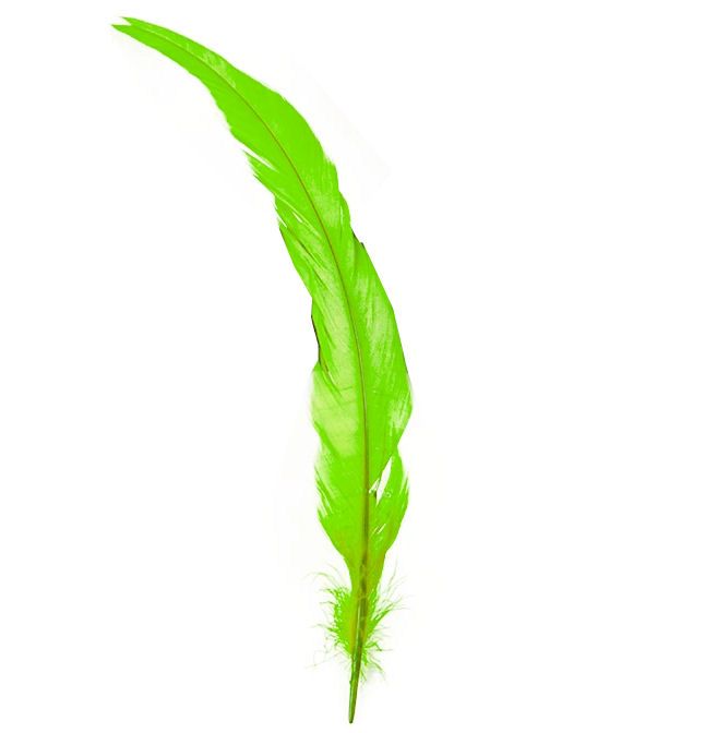 Lime Green Rooster Coque Tail Feather (Seconds)
