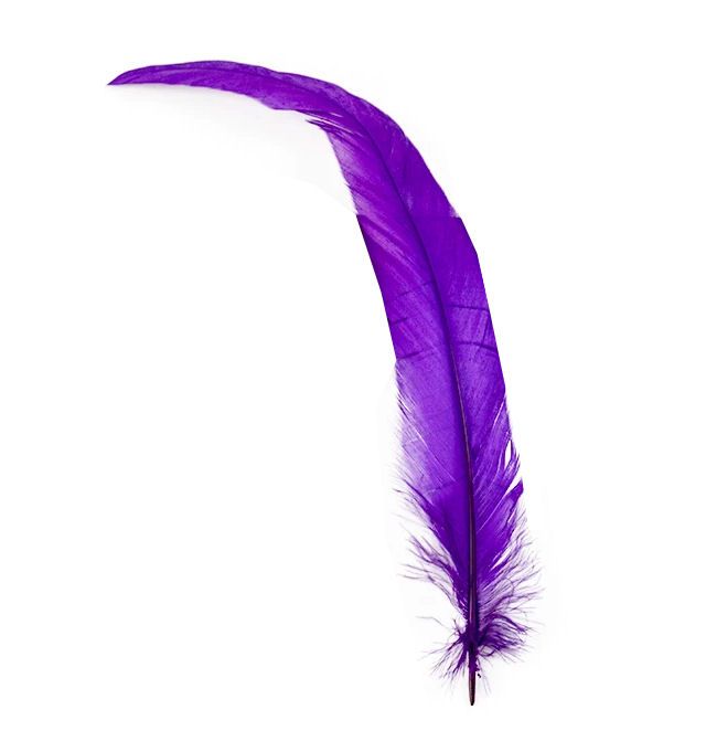 Purple Rooster Coque Tail Feather (Seconds)
