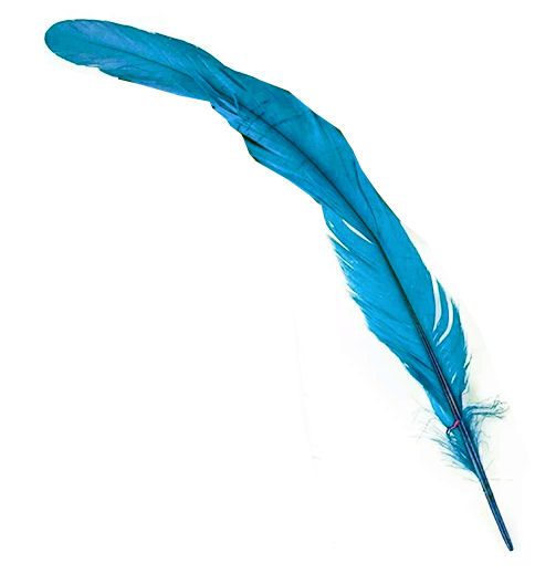 Dark Turquoise  Rooster Coque Tail Feather (Seconds)