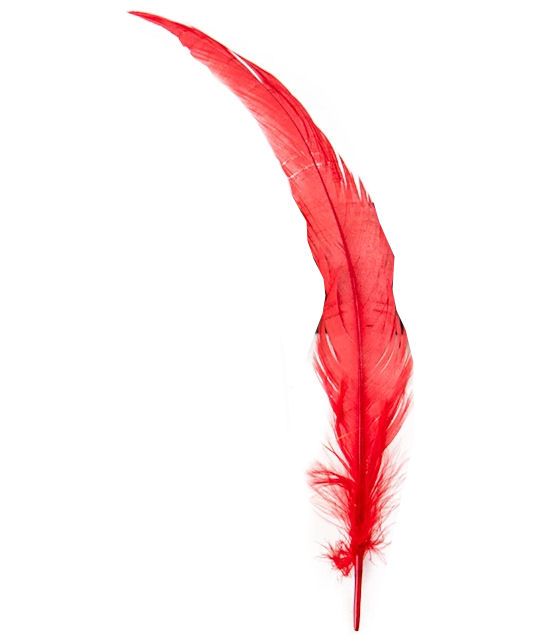 Red Rooster Coque Tail Feather (Seconds)