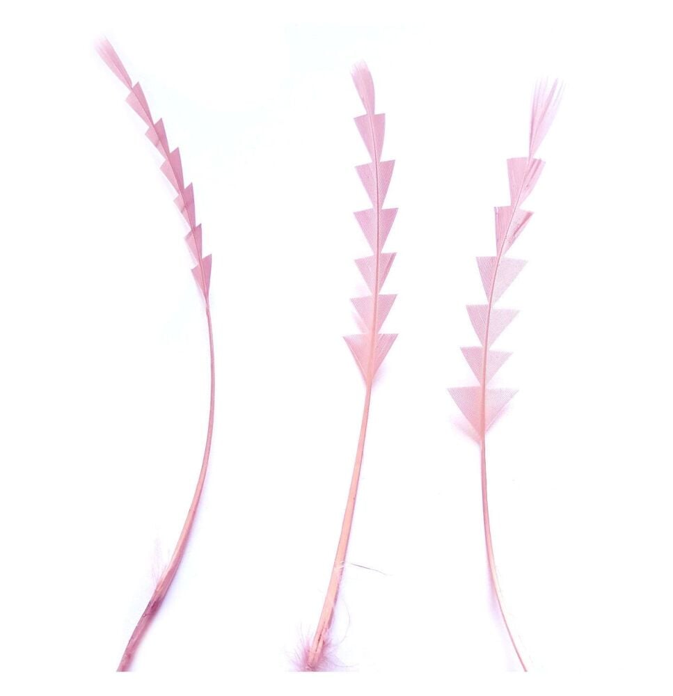 Baby Pale Pink Stripped Zig Zag Trimmed Feathers x 3
