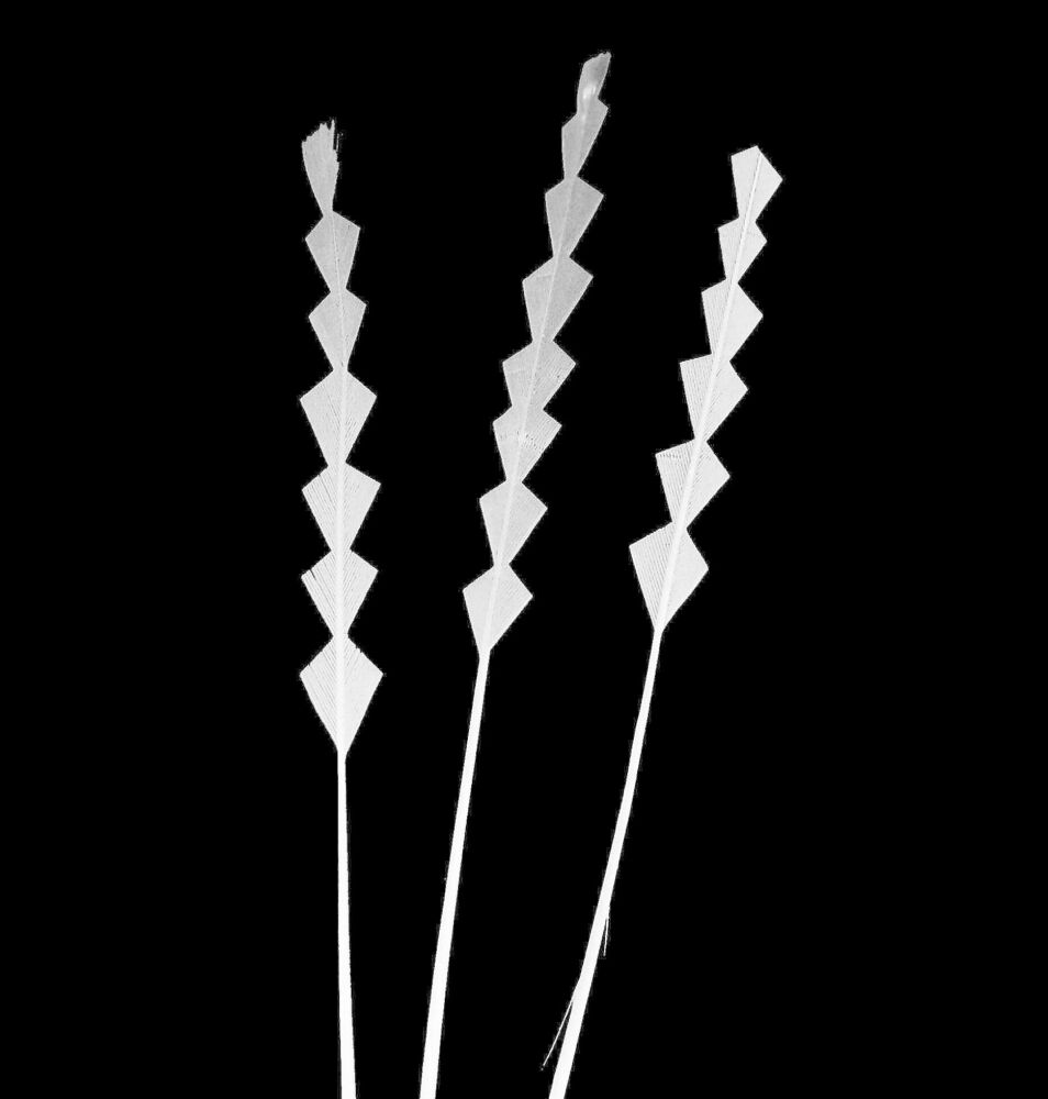 White Stripped Zig Zag Trimmed Feathers x 3