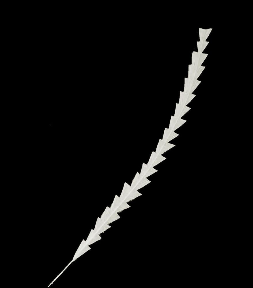 Ivory Zig Zag Cut Feather, Trimmed Decorative Rooster Feather