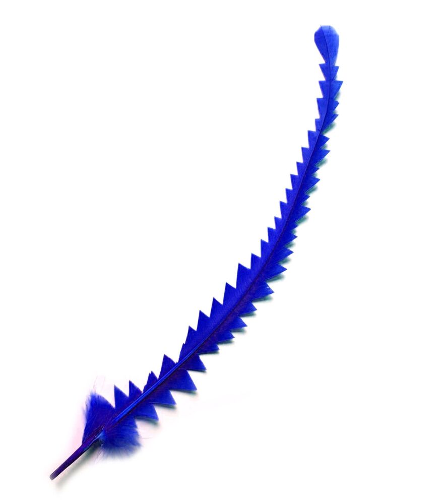 Royal Blue Zig Zag Cut Feather, Trimmed Decorative Rooster Feather