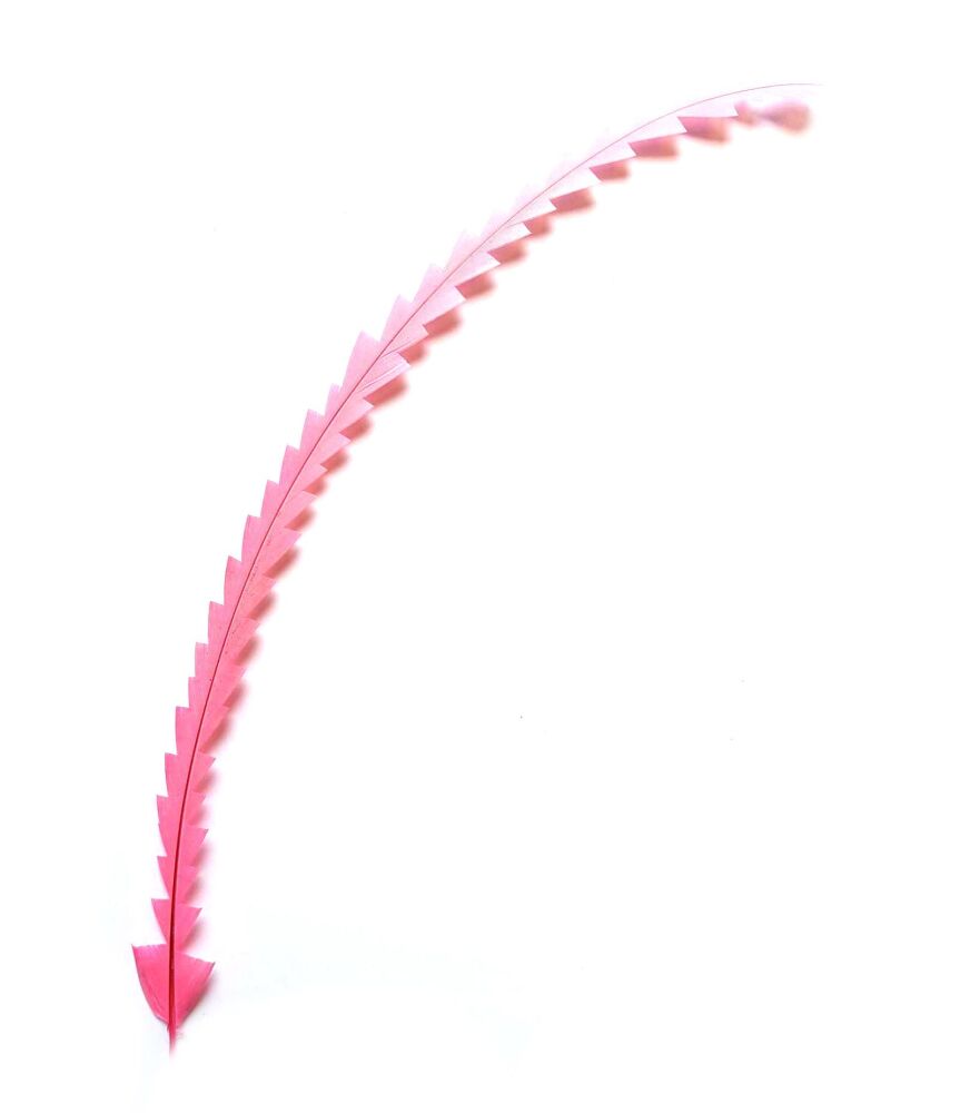 Candy Pink Zig Zag Cut Feather, Trimmed Decorative Rooster Feather