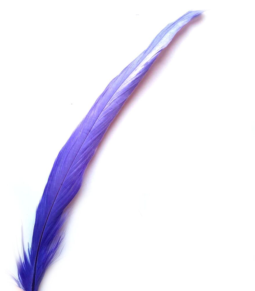 Lavender Rooster Coque Tail Feather (Seconds)